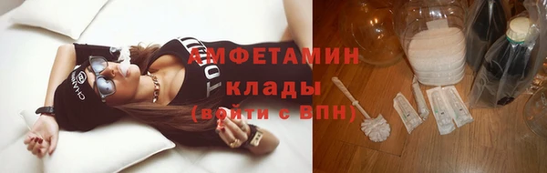 молекула духа Покров