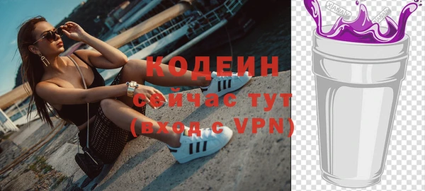 молекула духа Покров