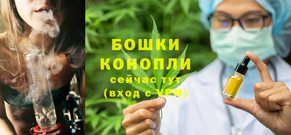 молекула духа Покров
