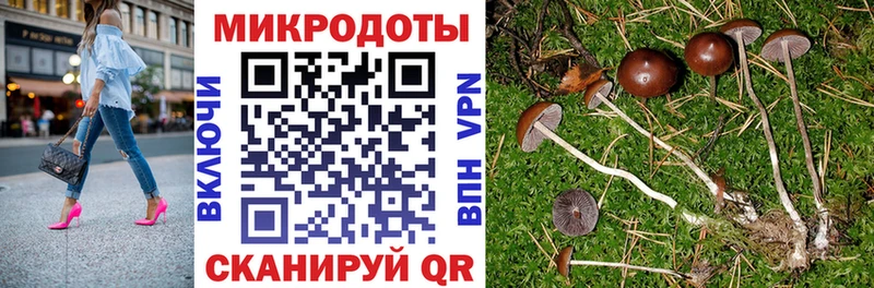 Псилоцибиновые грибы GOLDEN TEACHER Реж