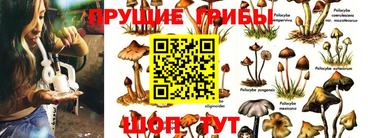 Псилоцибиновые грибы Psilocybe Реж