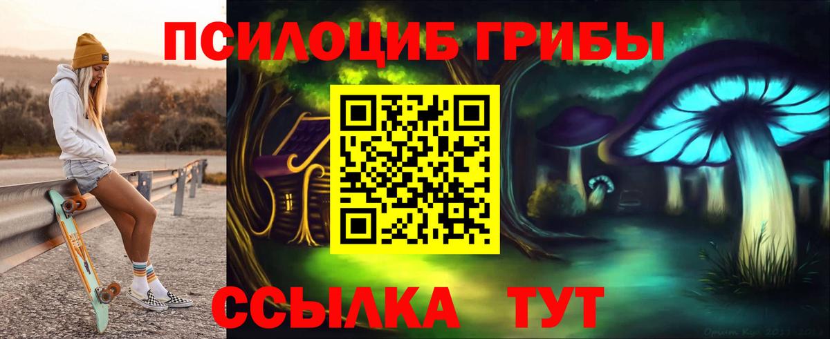 Реж  Псилоцибиновые грибы мухоморы  Вход с VPN 
